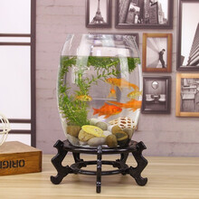 创意桌面鱼缸生态圆形玻璃金鱼缸乌龟缸迷你小型造景家用水族箱 25号炮+石子+假草+鱼食+底座