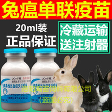 兔子疫苗兔疫苗兔用疫苗兔瘟疫苗兔瘟单联疫苗蜂胶疫苗华宏 兽用 1瓶