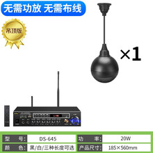 爱步者 无线蓝牙吸顶音响天花吊顶壁挂喇叭客厅家庭影院背景音乐广播系统家用商用店铺餐厅嵌入式音箱 主机发射器+无线吊球音箱1个