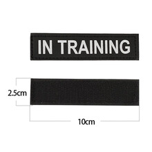 出众者宠物用品PVC贴章犬章胸背带项圈专用贴章夜间反光魔术贴章 IN TRAINING