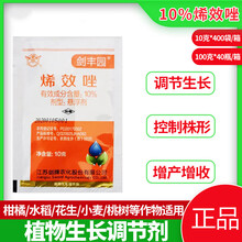 剑丰园10%希烯效唑 挫 矮化剂 防徒长果树植物生长调节 控旺 500g