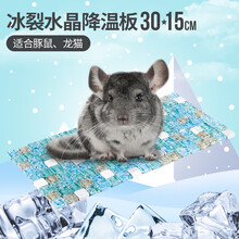 宠尚天 仓鼠夏天降温用品消暑散热板宠物专用冰床龙猫兔子凉席垫避暑夏季 冰裂蓝水晶降温板30×15cm（适合、龙猫)