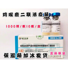 西安杨凌鸡传染性喉气管炎鸡痘活疫苗二联疫喉痘二联鸡疫苗1瓶价 兽用