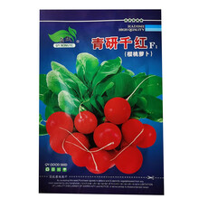 岁瑞 樱桃萝卜种子 小红萝卜 迷你小萝卜籽 田园盆栽春秋四季 蔬菜种子 青研千红f1【10g袋装】买3袋送1袋