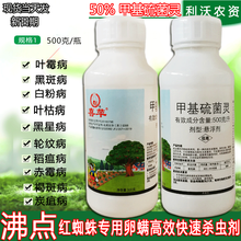 50%甲基硫菌灵 悬浮剂杀菌剂纹枯病白粉病炭疽黑斑叶斑根腐病农药杀菌剂 1瓶 500克/瓶