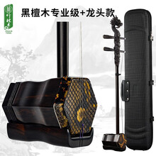 竹林丰 黑檀二胡乐器龙头二胡初学黑檀木二胡手工制作成人考级儿童练习专业演奏乐器 黑檀龙头款+天然蟒皮+琴盒+品牌校音器+全套配件