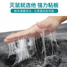 户净 老鼠贴粘鼠板力驱鼠灭鼠魔毯神器夹药抓老鼠粘鼠药胶捕鼠家用非神器 3张 当天配发