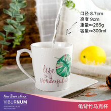 瑶华 简约办公室喝水杯子男 马克杯陶瓷杯 创意牛奶杯 咖啡杯 情侣杯 早餐杯茶杯 龟背竹马克杯