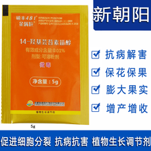 新朝阳 硕丰481金满粒 芸苔素内酯 促生长解药害植物调节剂双向调节剂叶面肥料 100袋优惠价 5克/袋