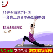 瑜伽教程视频U盘教学零基础入门全套高清初学者优盘家庭自学