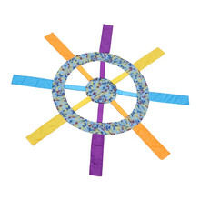 新款多彩大转盘感统训练幼儿园户外体智能新教具儿童趣味游戏玩具 大转盘