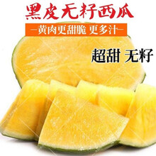 无籽西瓜种子黑皮红瓤黄瓤西瓜种籽特大超甜懒汉瓜春夏季水果种孑 黑皮黄瓤无籽西瓜种子【200粒】