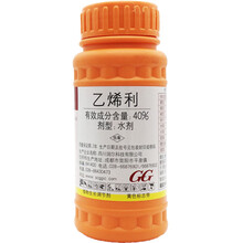 国光乙烯利 催熟剂 香蕉芒果番茄柿子 生长调节剂核桃剥皮100克 100g