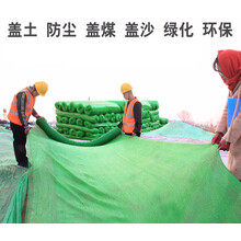 盖土网绿化网防尘网工地绿色黑色遮阳遮荫网防扬尘环保遮盖网 (2针)8米x40米 绿色