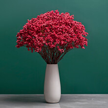 云南满天星干花大束水晶草干花束家居摆设小清新风干插花装饰摆件 大束玫红水晶草+白色陶瓷花瓶