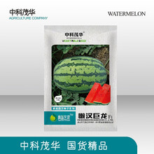 中科茂华新城五号山地石头瓜西瓜种子金城五号懒汉巨龙大果型超抗病宁夏双红瓤硒砂瓜压沙西瓜超甜多汁免整枝 懒汉巨龙40粒/袋【家庭园艺】