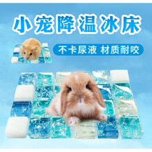 夏日降暑仓鼠龙猫松鼠天竺鼠散热板冰袋冰盒冰床降温用品仓鼠用品 冰垫(XS)适合熊仔