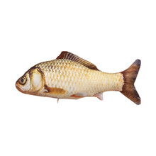 黑豆壳猫玩具 抖音同款网红鱼自动逗猫玩具毛绒会跳动的鱼电动猫咪仿真鱼玩具猫薄荷 普通草鱼款（非电动）