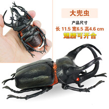 儿童仿真昆虫模型动物玩具蜜蜂独仙角蝴蝶草蜢螳螂七星瓢虫礼物 大兜虫(翅膀可动)