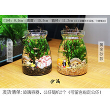观赏生态瓶鱼微景观免换水免打理diy水族办公桌面创意造景鱼缸 沙漏(黄金砂款)