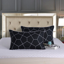 枕头学生单人低枕芯枕套宿舍卡通可爱男女孩一只装一对拍2 立体方块（1枕芯1枕套）