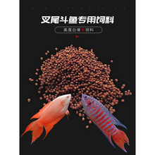 森悠（SARYOR）中国斗鱼饲料专用鱼食热带鱼粮慈鲷金鱼高蛋白小颗粒普叉增红增色 1号粉状幼鱼开口料120g/罐缓沉 1cm以上鱼适