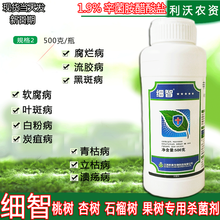 1.9%辛菌胺醋酸盐流胶病腐烂病果锈病干腐病果树清园杀菌剂涂抹喷 1瓶 500克/瓶