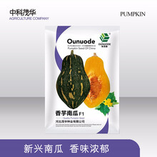 中科茂华蔬菜种子香芋南瓜种子香味浓郁新型礼品小南瓜3-4斤甘甜香糯粉度高肉厚籽少南瓜新品种规模种植 香芋南瓜5克/袋【甘面甜3-4斤】