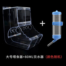 仓鼠自动喂食器用品荷兰猪兔子龙猫金丝熊刺猬小型防翻食盆食盒 亚克力仓鼠食盒大号ZS02+80ml饮水器随机色