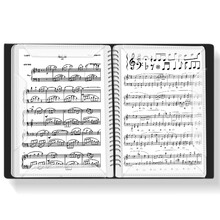 曼尔乐器 A4乐谱夹钢琴谱夹曲谱书吉他古筝谱夹子40页文件袋学生曲谱夹五线改谱夹乐器配件 加厚款黑色