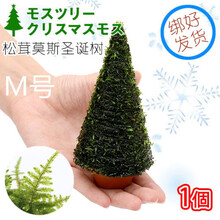 28莫斯活体水草定植环水草鱼虾缸水族箱造景装饰幼鱼虾躲避窝 莫斯圣诞树M号1个