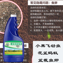 坤宁王植物花卉杀虫剂盆栽除虫药虫卵红蜘蛛小黑飞蚜虫杀虫喷剂介壳虫月季花草绿植土壤杀虫剂 土壤杀虫剂