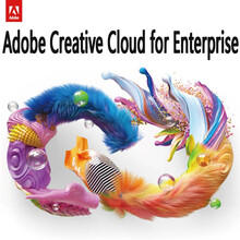Adobe Creative Cloud All Apps 创意应用软件套包 全家桶 for enterprise企业版 多国语言商业版 1用户授权/1年 可装2台电脑