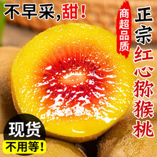 四川特产红心猕猴桃奇异果新鲜当季孕妇水果蒲江弥猴桃大果礼盒 修文猕猴桃12枚礼盒 普通快递