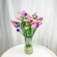 花易宝（huaeb）云南昆明鲜花批发 七彩勿忘我花束批发 一扎多色勿忘我 送朋友礼物 大束花材