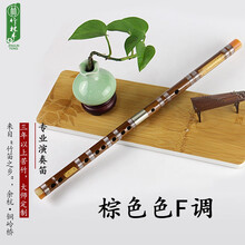 竹林丰 笛子精品横笛专业演奏考级苦竹笛初学者入门学生成人零基础民族乐器 棕色F调白铜双插款+全套配件+教学资料