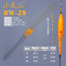 小凤仙浮标 纳米浮漂高灵敏鱼漂超长行程漂深水鱼漂黑坑鲤鱼筏钓流氓漂翘嘴标 BW28综合鱼种）21目铅约3.50-4.30g 2号一支（配加厚漂管）