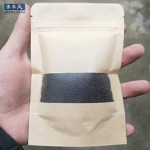 蝾螈六角恐龙鱼饲料六角龙娃娃鱼东方蝾螈下沉底型鱼食粮宠物专用 2mm沉底饲料1包(50g)