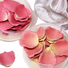 拉杜丽（Laduree） 贵族浮雕腮红 玫瑰花瓣腮红 散粉 粉饼 化妆刷 花瓣腮红芯01