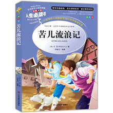 苦儿流浪记 美绘插图版 教育部“语文课程标准”推荐阅读 名词美句