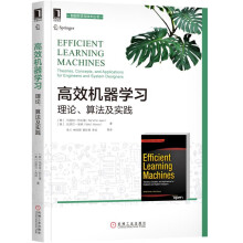 高效机器学习：理论、算法及实践