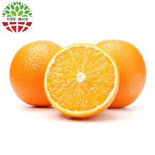橙子17.5