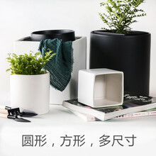 ins无孔陶瓷花盆北欧简约方盆白色绿萝吊兰多肉铜钱草水培小号四方直筒其他 【圆】白色亚光+开孔+塑料底托 大号