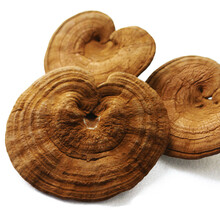 天山蚁灵芝片长白山灵芝生灵芝片赤灵芝带孢子粉林下灵芝 500克