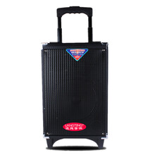 特美声（TEMEISHENG）浪庭户外拉杆音箱8寸广场舞音响锂电池移动音箱插卡木质音响 带蓝牙2节电 双无线话筒 送音频线充电器