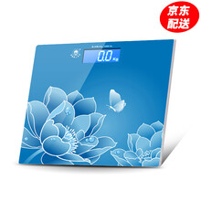香山  智能体重秤家用称重电子称人体秤体重计婴儿体重秤健康秤EB8228/EB3842随机