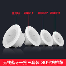 长虹（CHANGHONG） CL无线蓝牙吸顶喇叭天花吊顶音响套装店铺室外户外防水音柱壁挂音箱 无线蓝牙吸顶喇叭套装（一拖三）