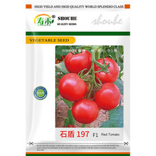 寿禾 石盾197石头番茄种子/水果番茄苗大红西红柿高产红硬果早熟秋季蔬菜庭院普罗旺斯盆栽四季菜籽种 石盾197  100粒原装【石头番茄】