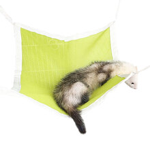 安格鲁雪貂吊床龙猫兔子松鼠吊床小宠物用品 色随机发