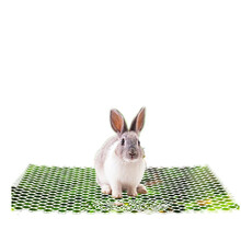ELITE兔笼脚垫豚鼠垫兔子脚垫荷兰猪垫底板龙猫脚垫 大号45*34